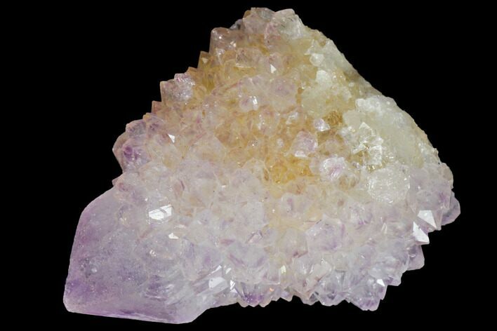 Cactus Quartz (Amethyst) Crystal - South Africa #132476